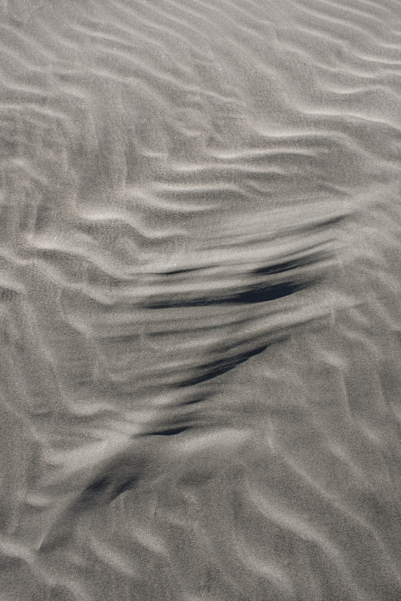 sand-wind-black-nz