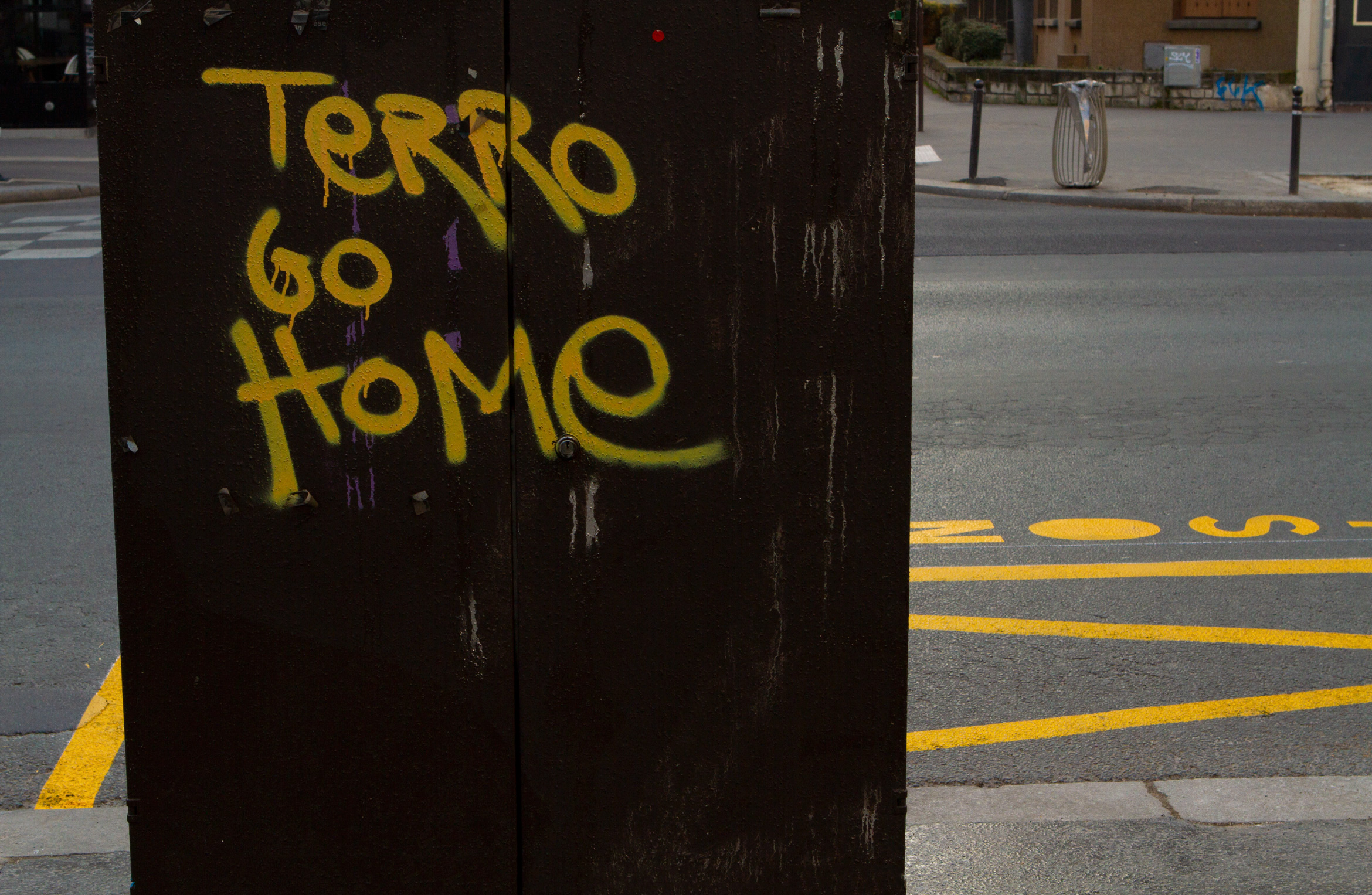 terro-go-home-paris-street-art-graffiti
