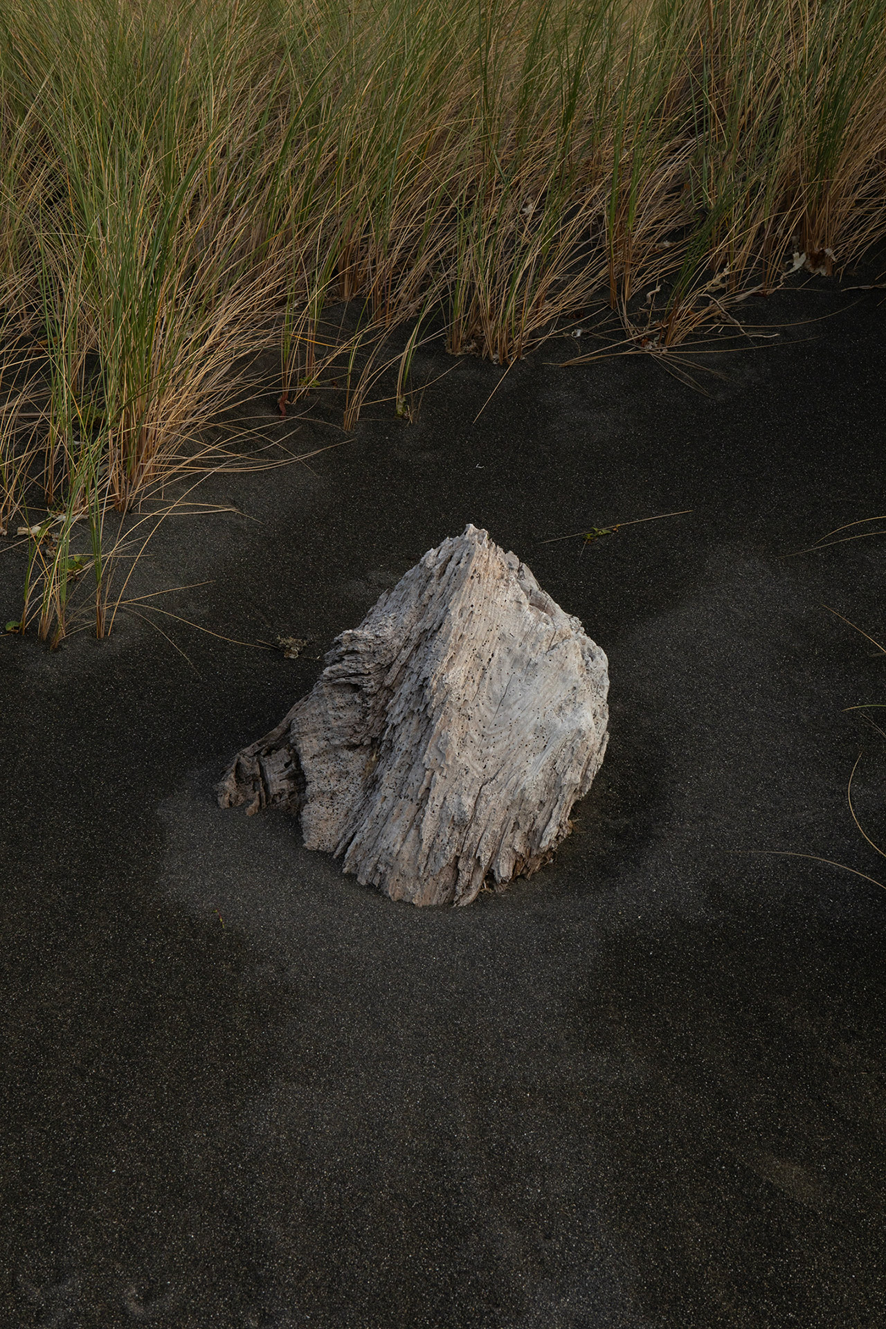 black-sand-dune-nz-2