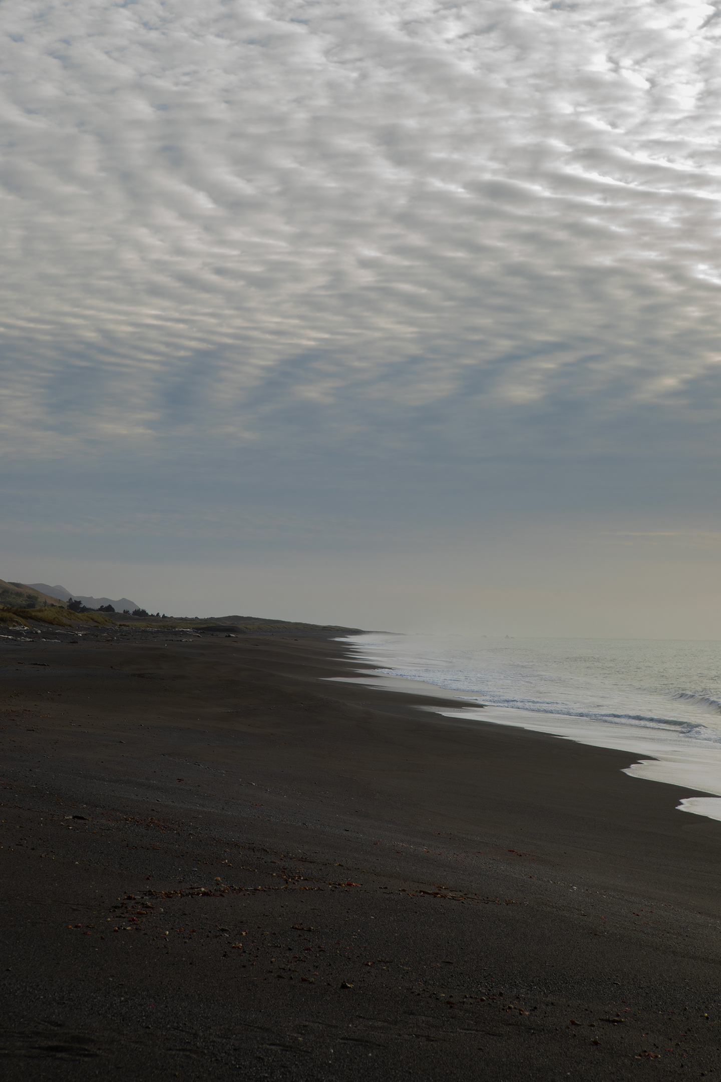 kaikoura-coast-18