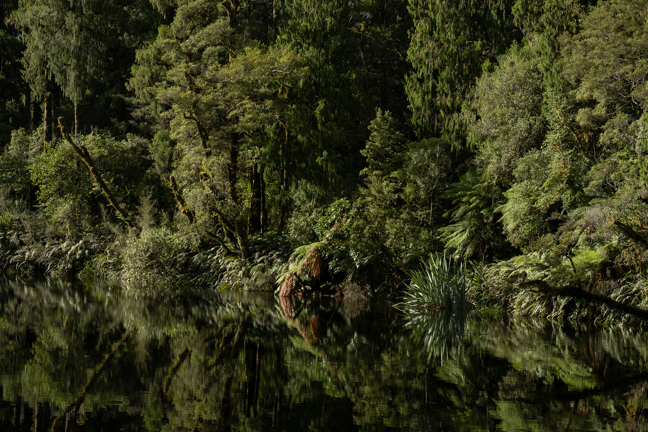 lake-ellery-jackson-river1