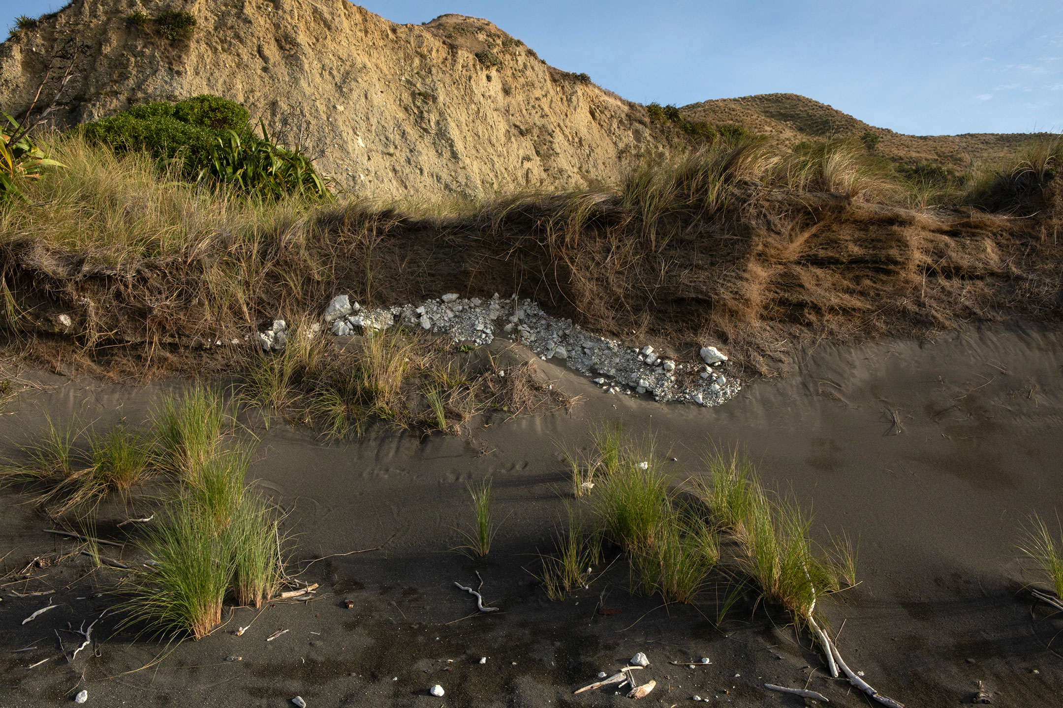 new-zealand-black-sand-dune-2