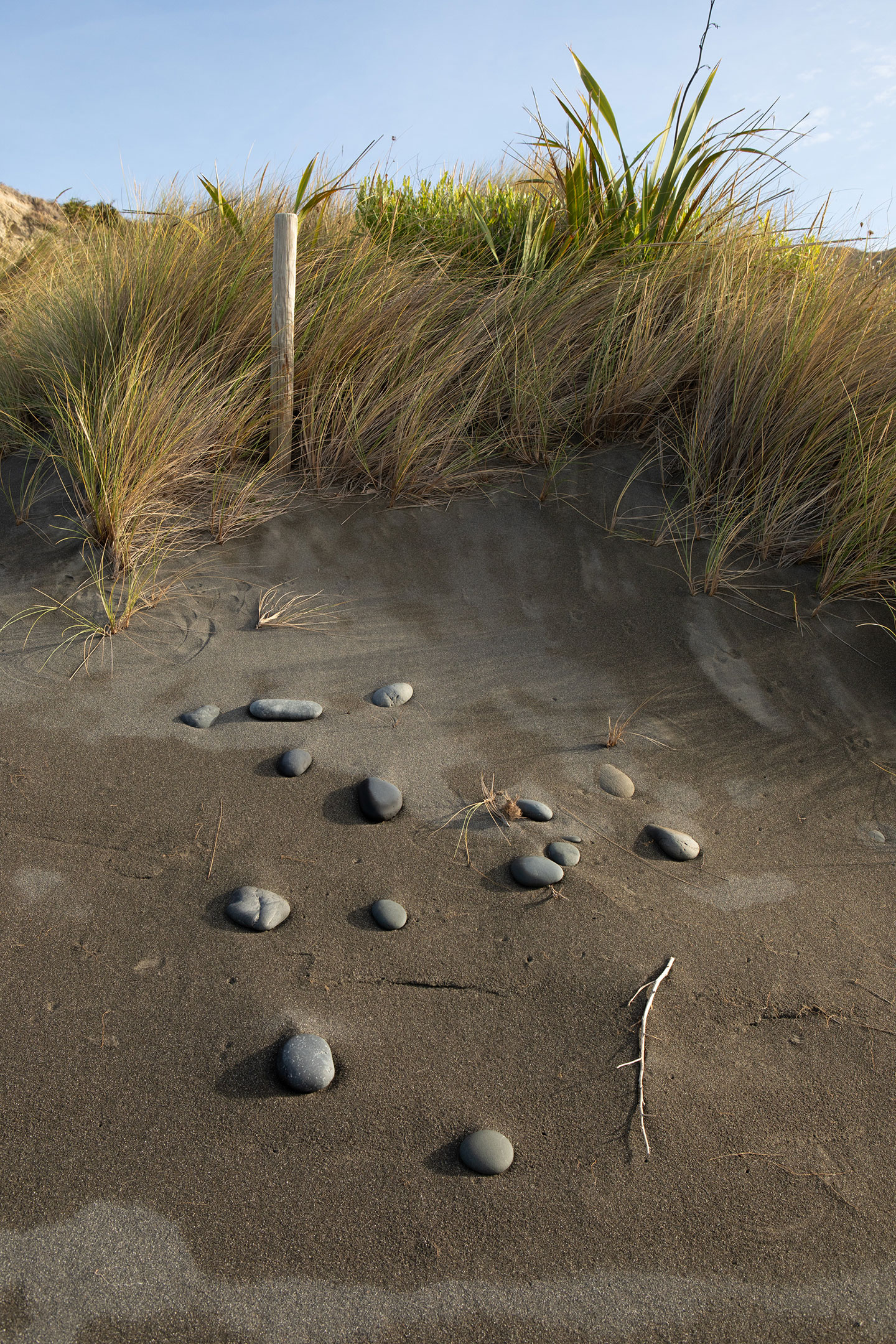 new-zealand-dune