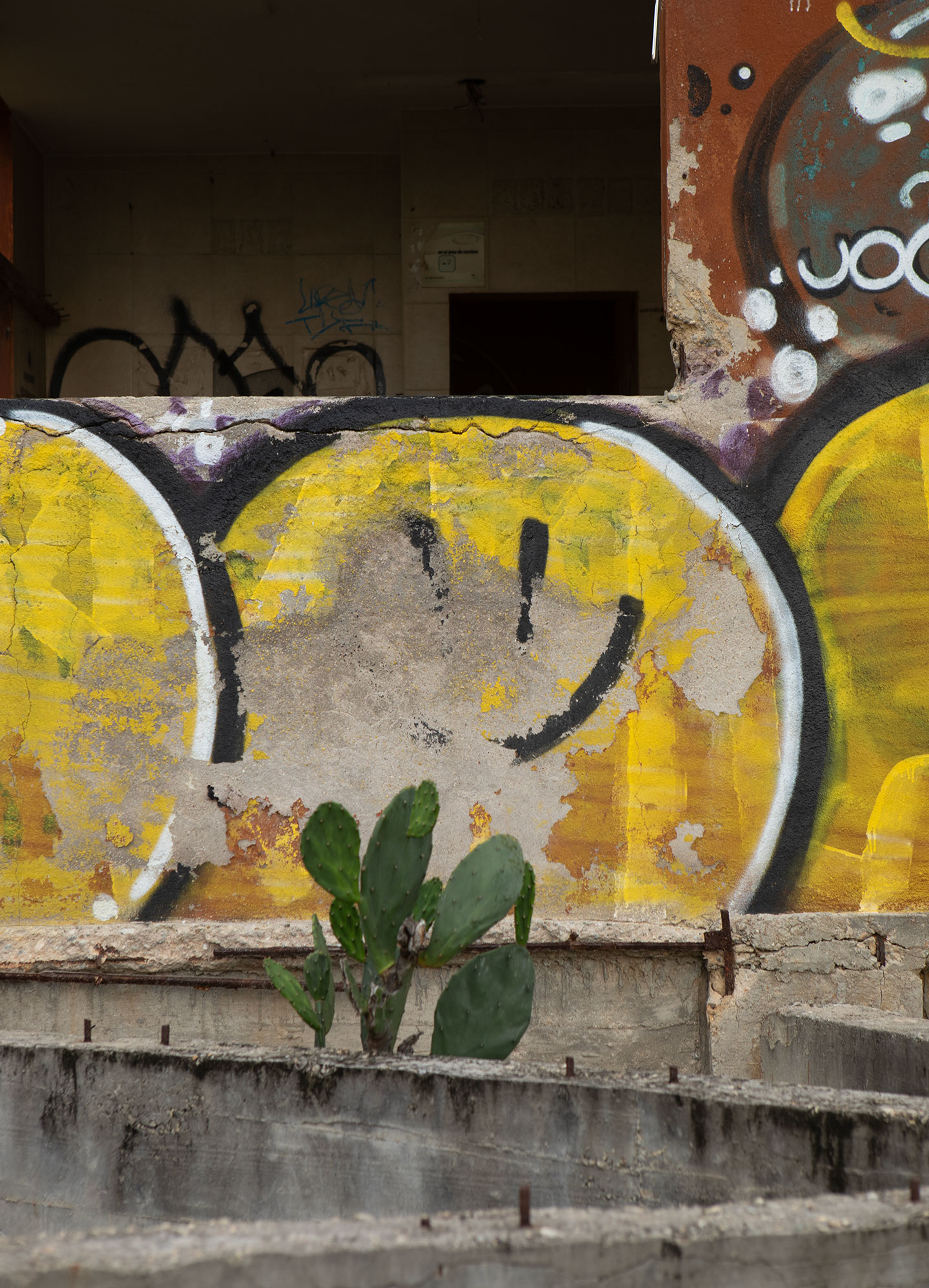 puerto-escondido-cactus-street-art