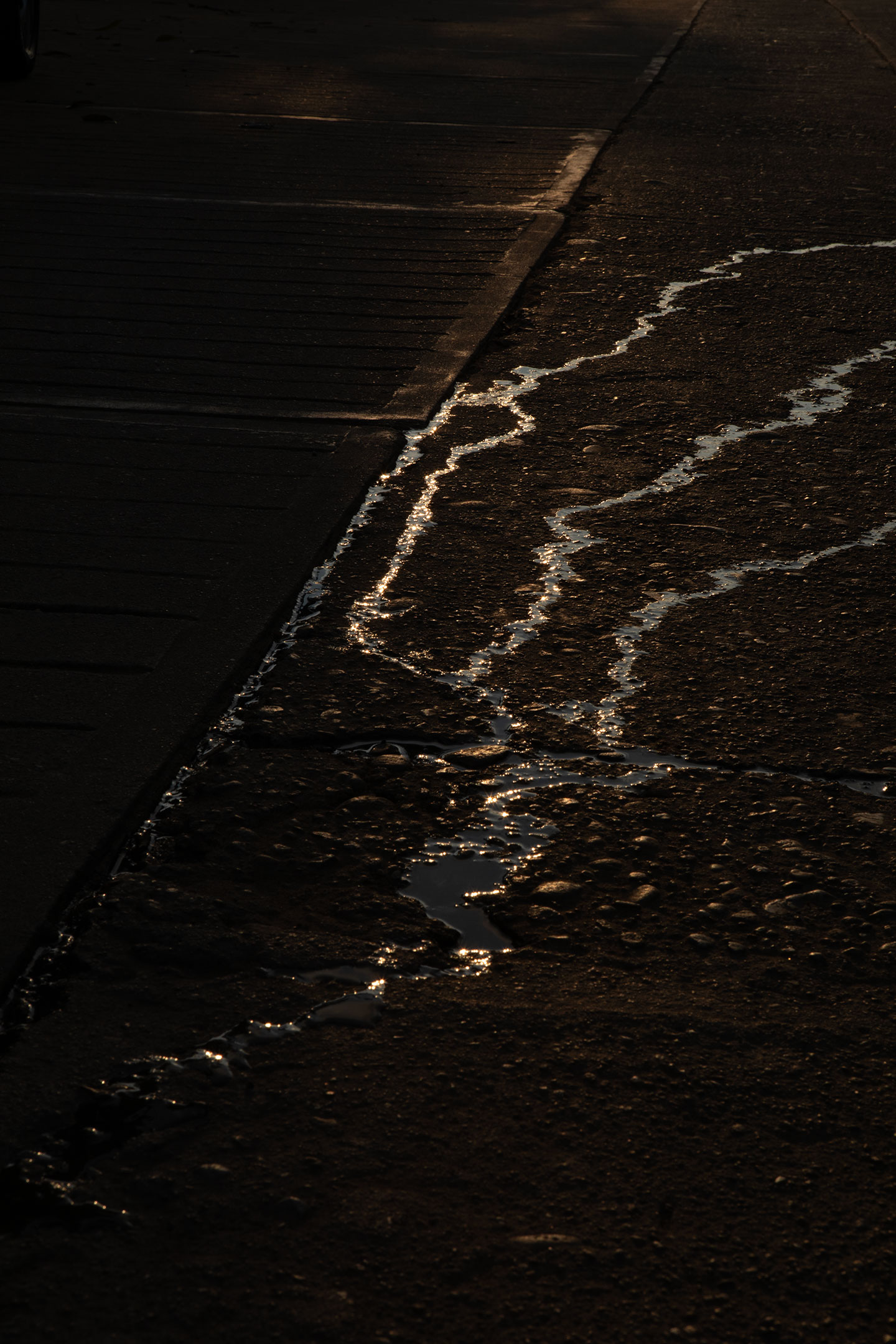 puerto-escondido-street-water-reflection