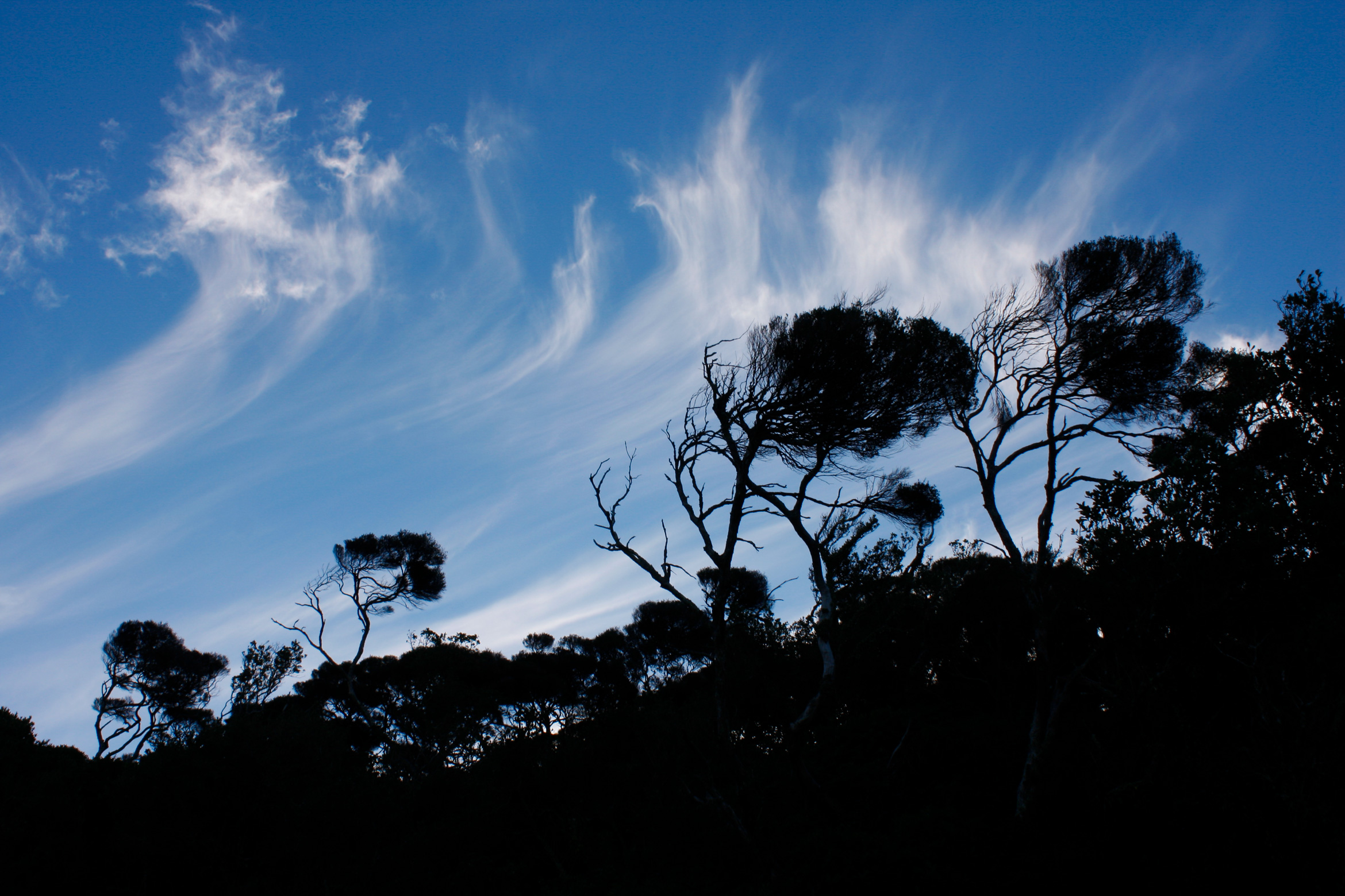 abel-tasman-national-park