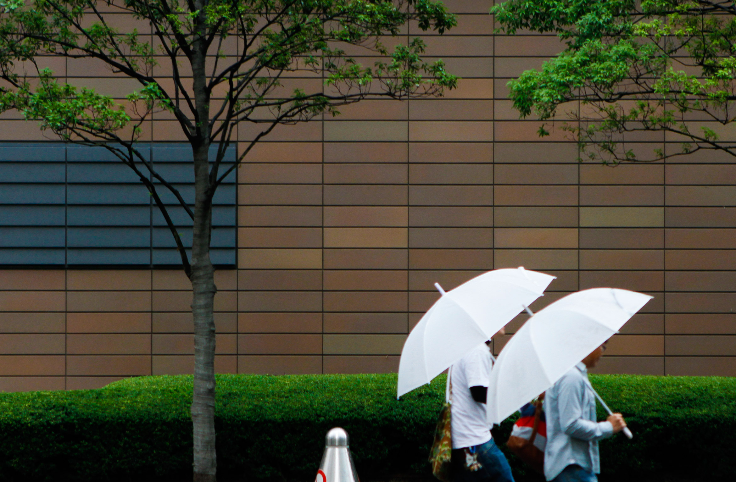 akihabara-umbrella-2