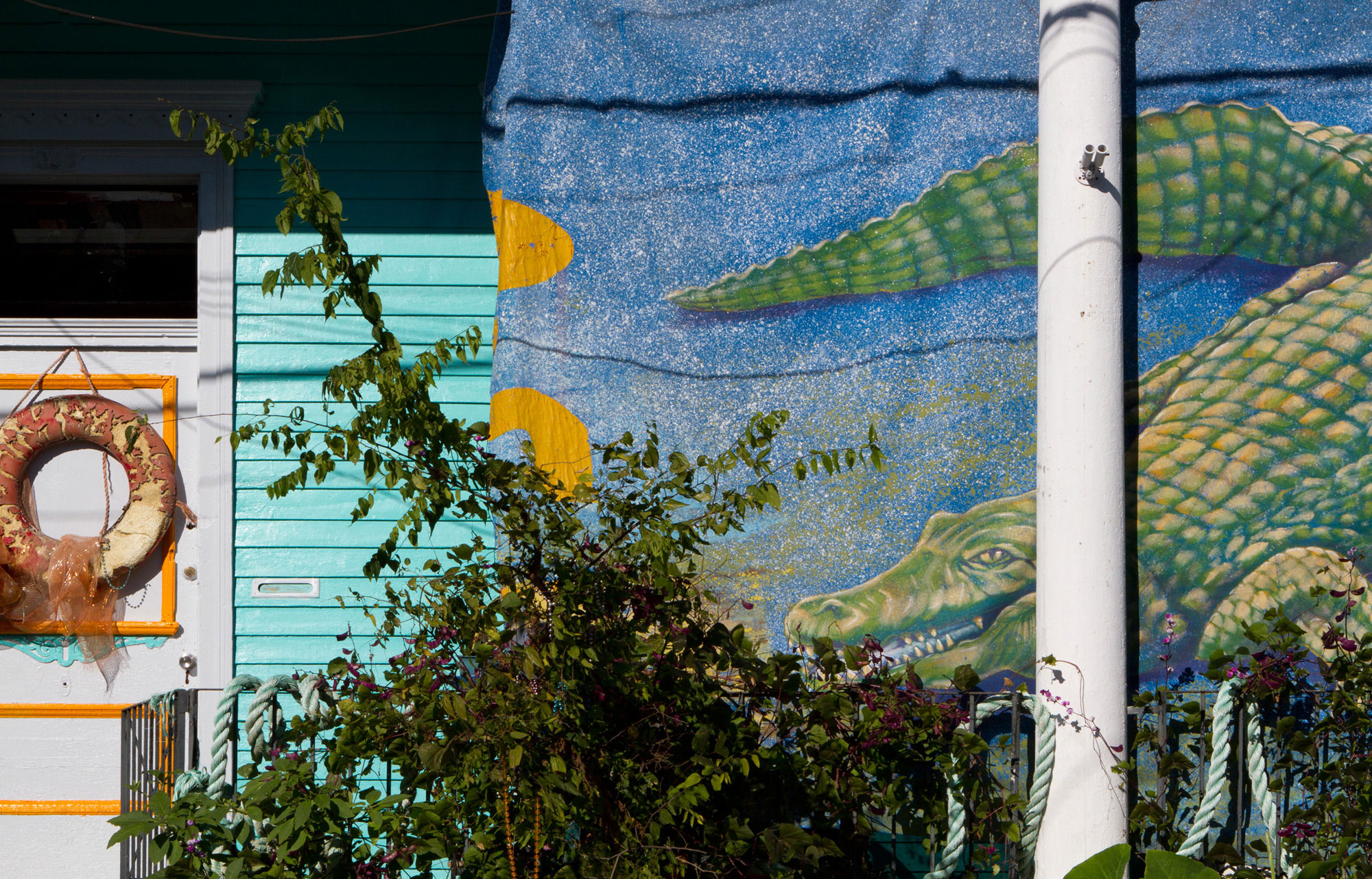 by-water-new-orleans-aliigator