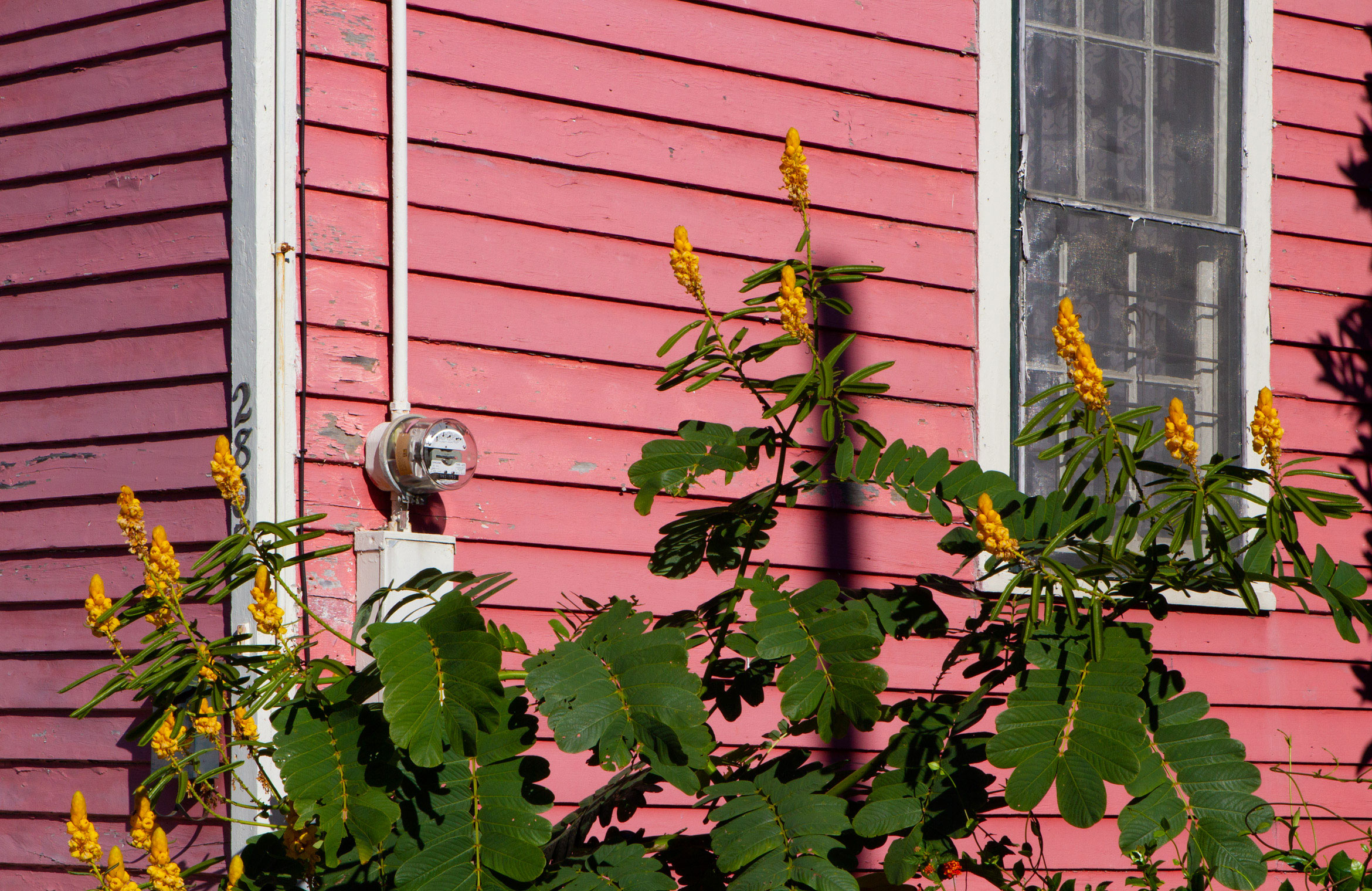 bywater-pink-house-colour-new-orleans