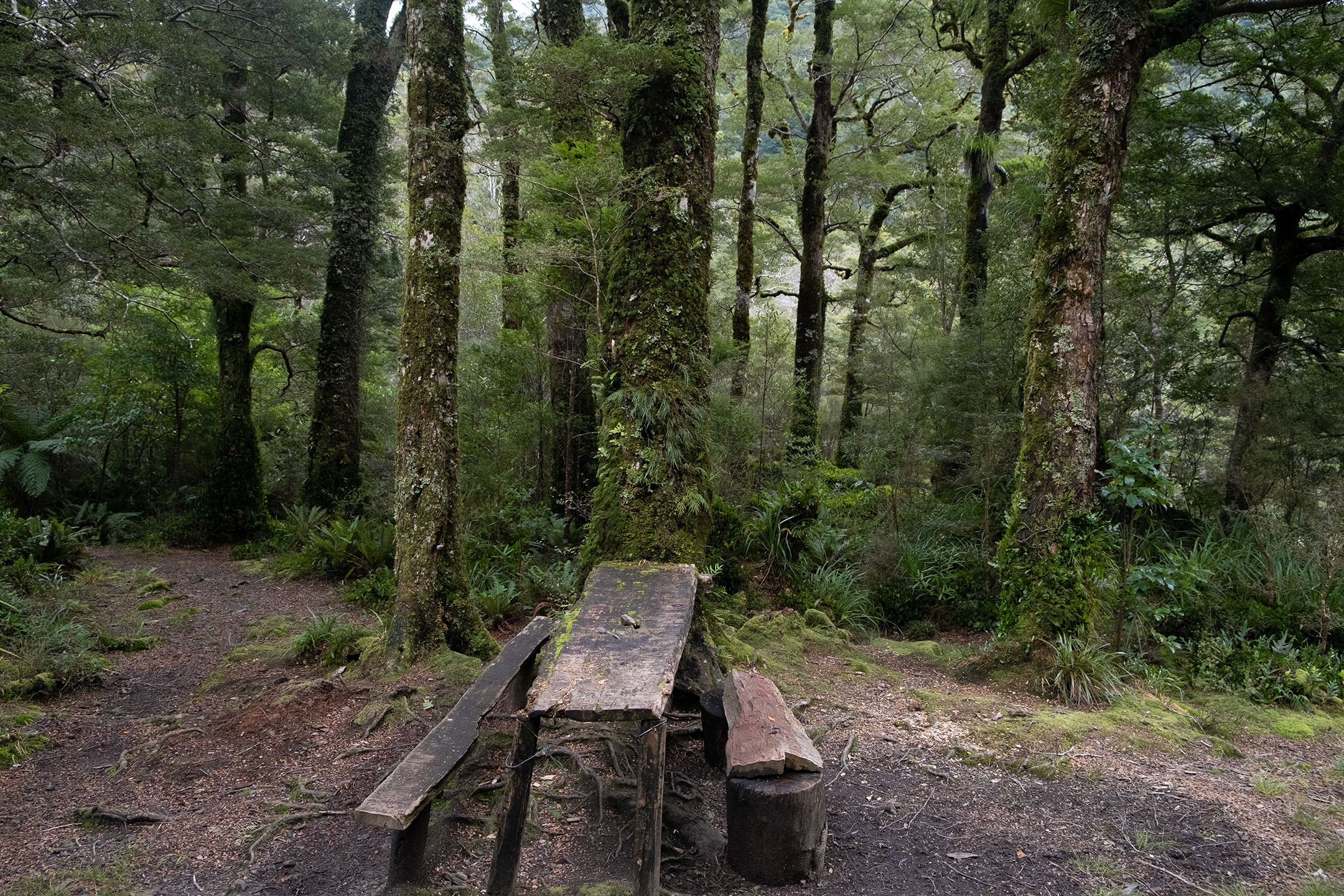 cone-hut-tararua-ranges-doc-hut