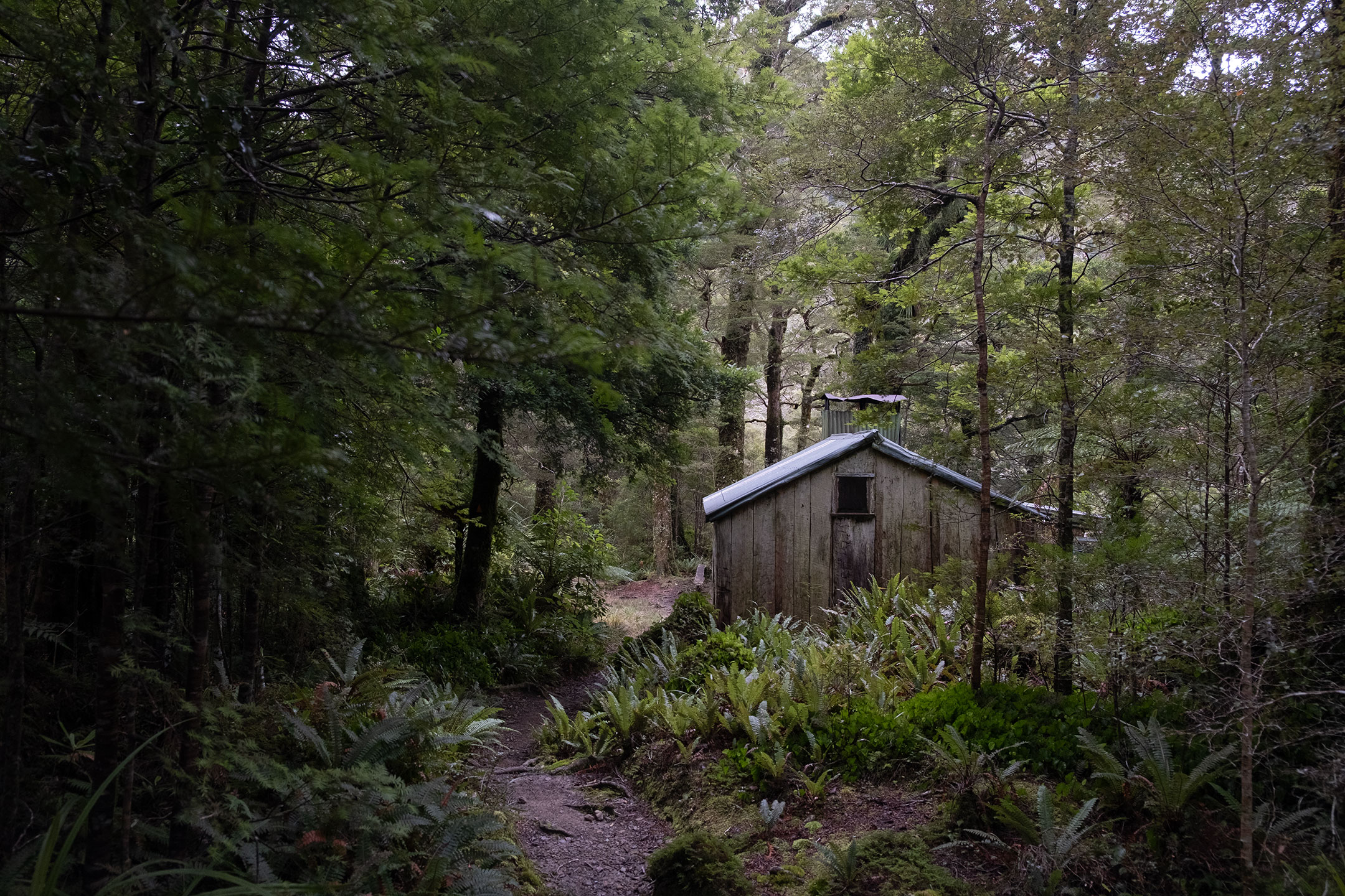cone-hut-tararua-ranges-new-zealand