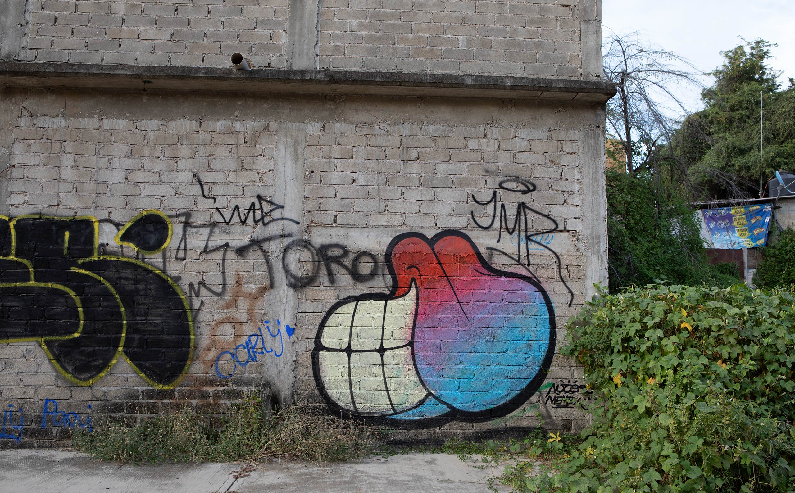 graffiti-street-art-mexico-oaxaca