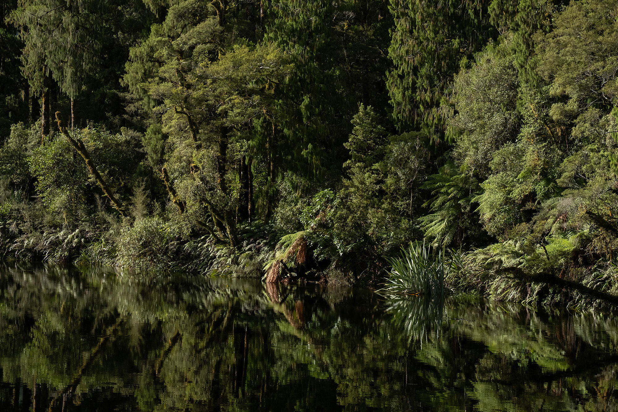 lake-ellery-jackson-river1