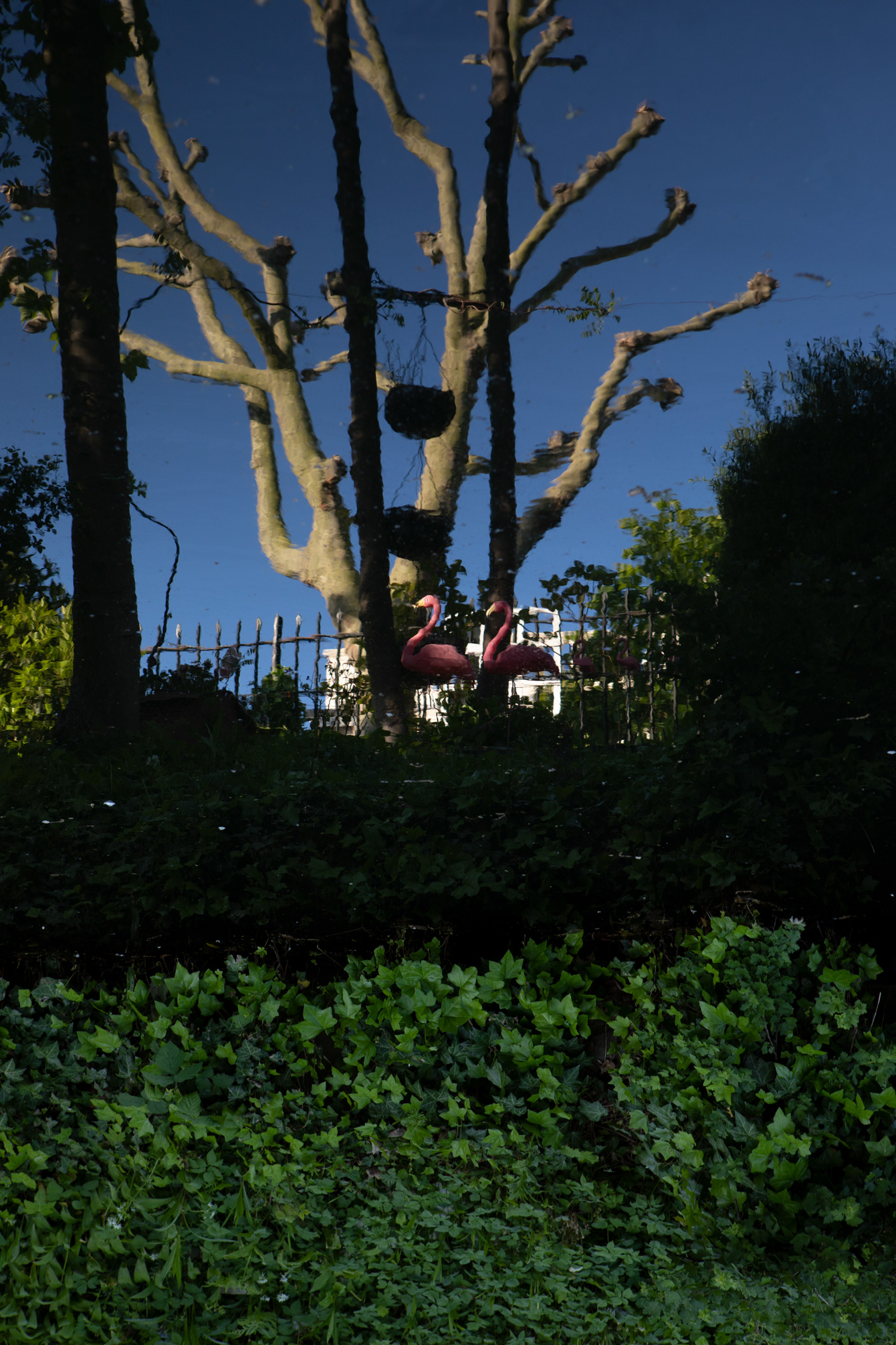little-venice-flamingos-boat-london-canal