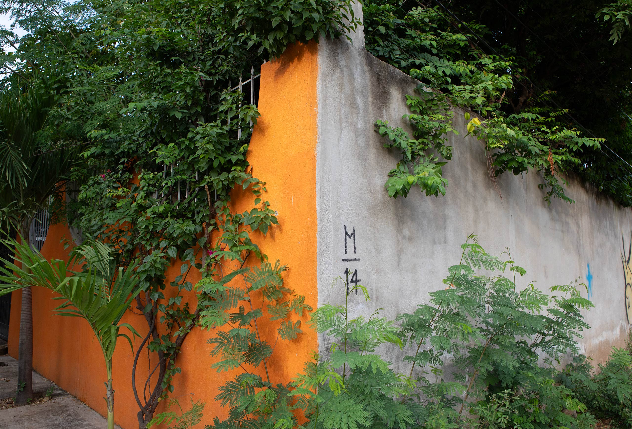 mexico-colourful-wall-puerto-escondido