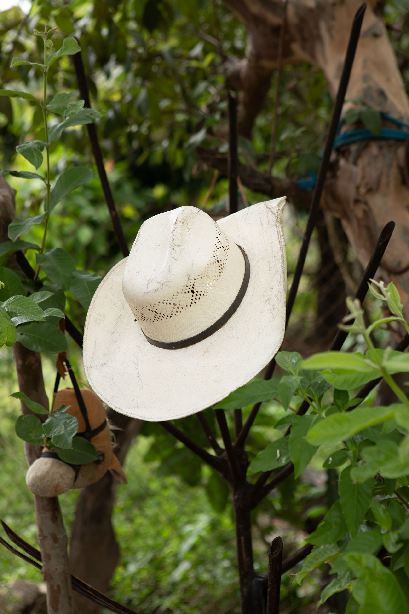 mexico-cowboy-hat