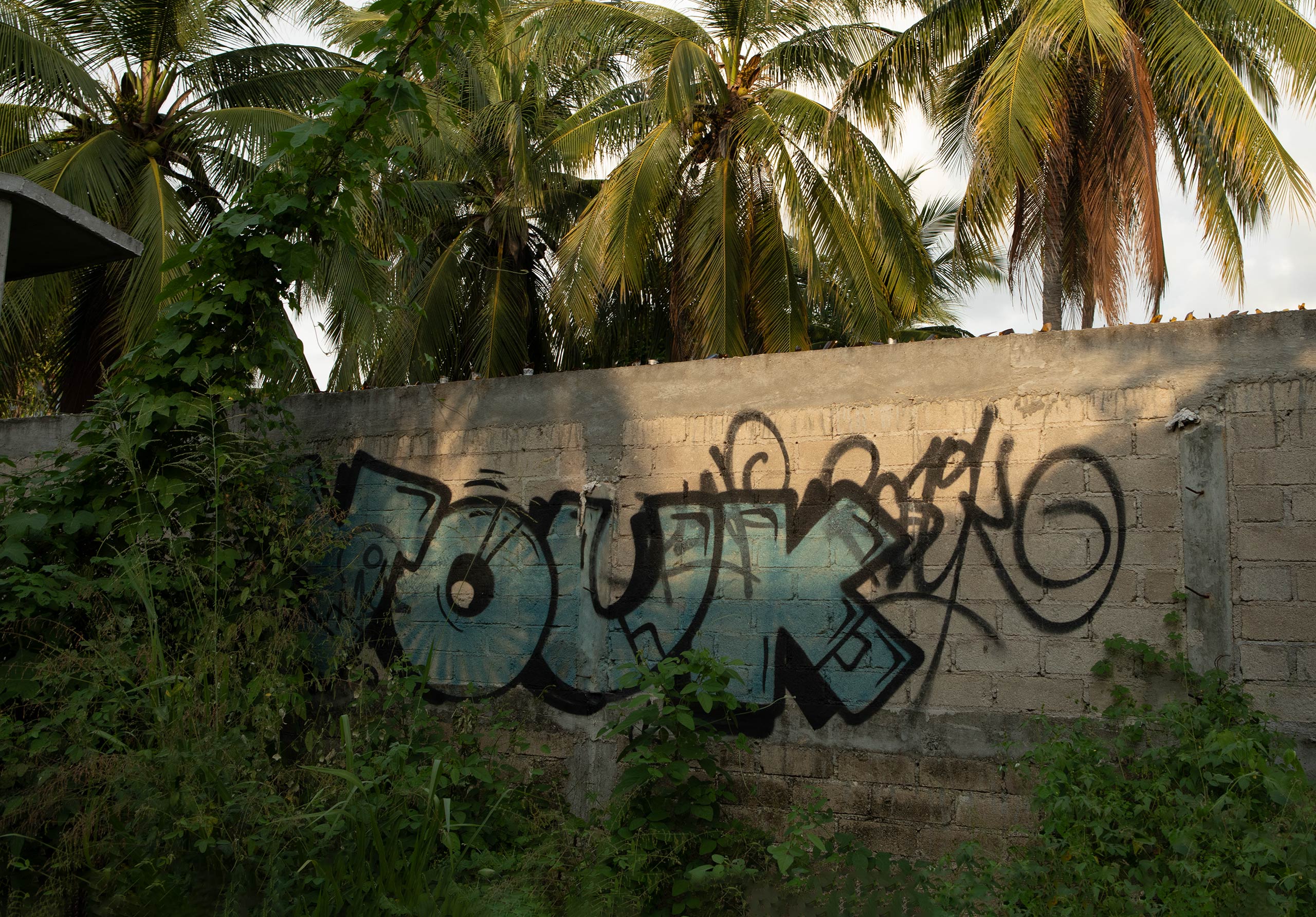 mexico-graffiti-street-art-palm-treees