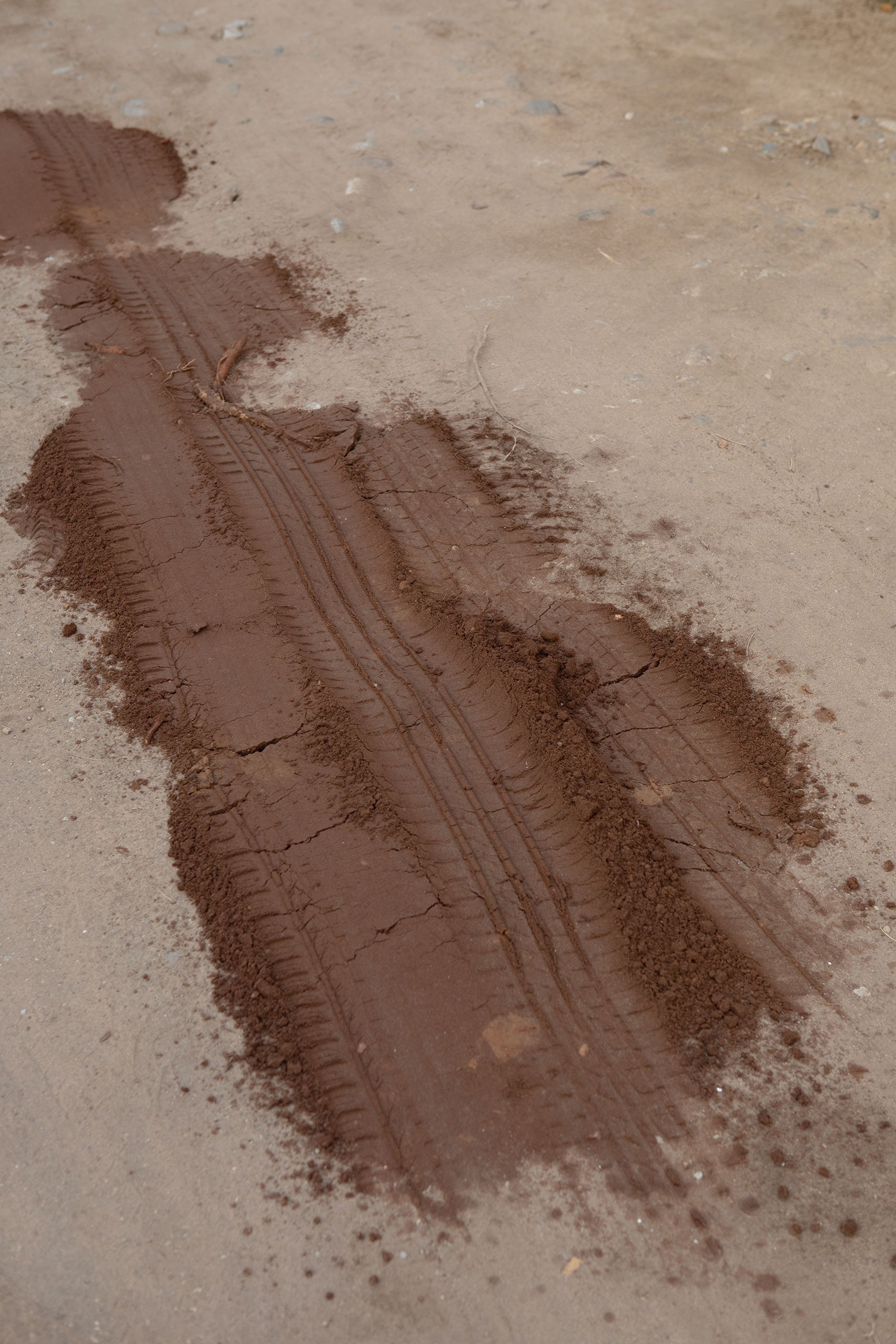mud-run-over-by-a-tire-mexico