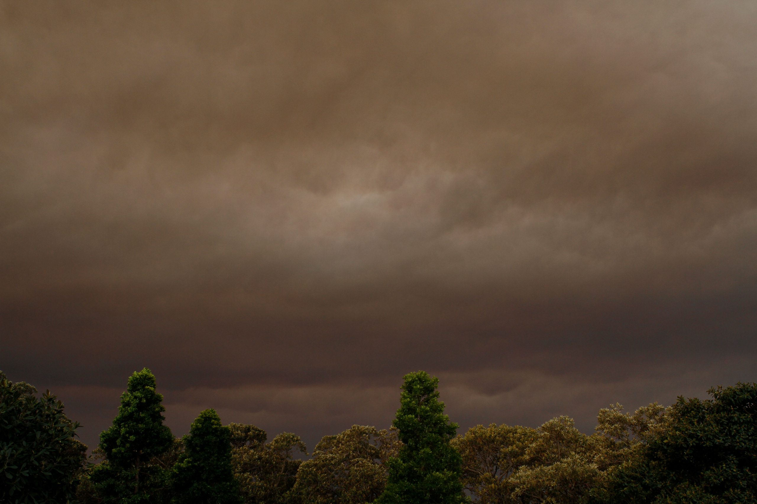 nsw-bushfire-sky