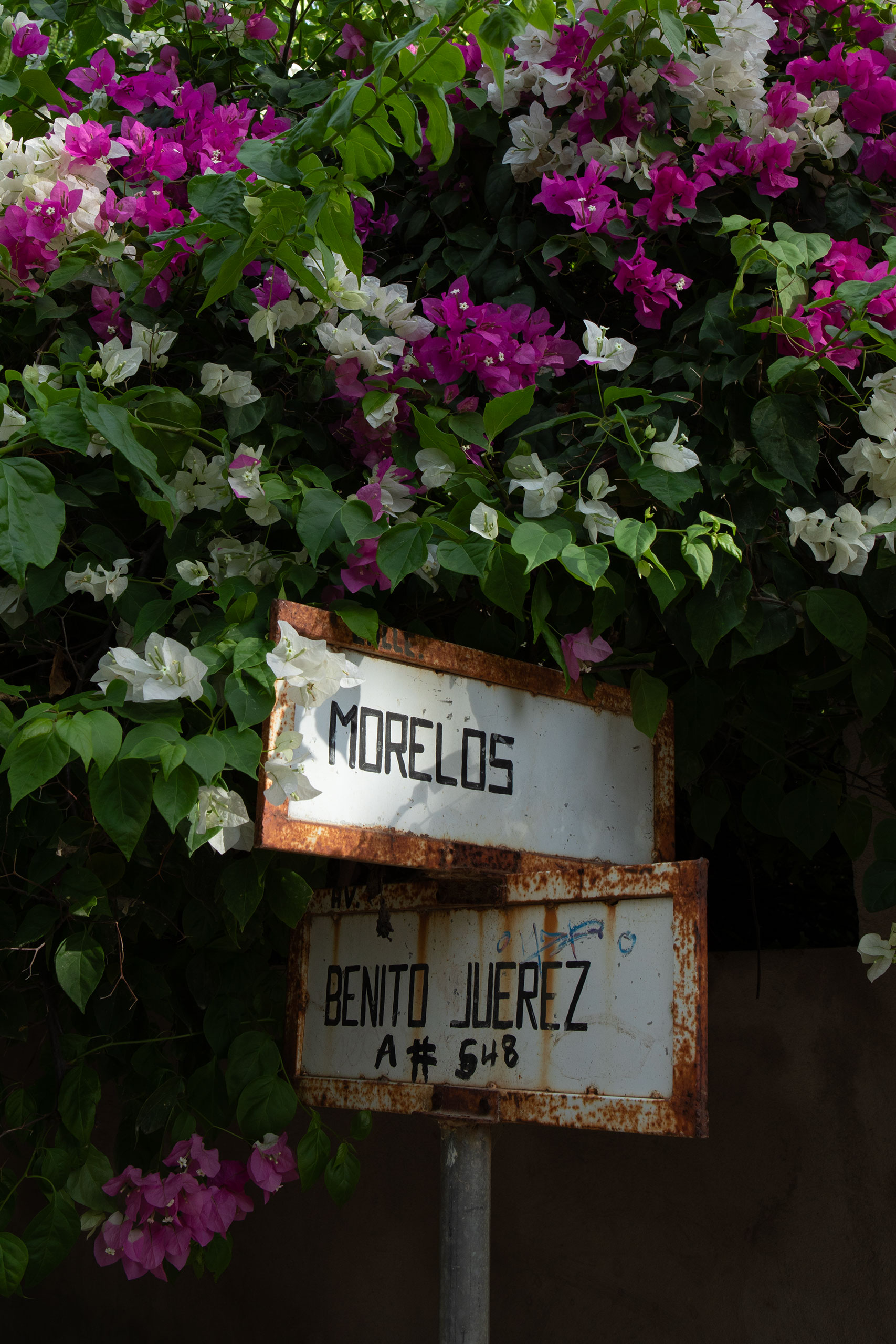 oaxaca-puerto-escondido-calle-street-sign-mexico