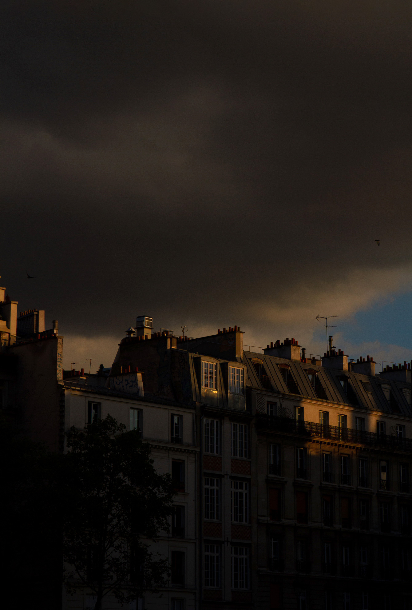 paris-golden-hour-sunset-houses-2