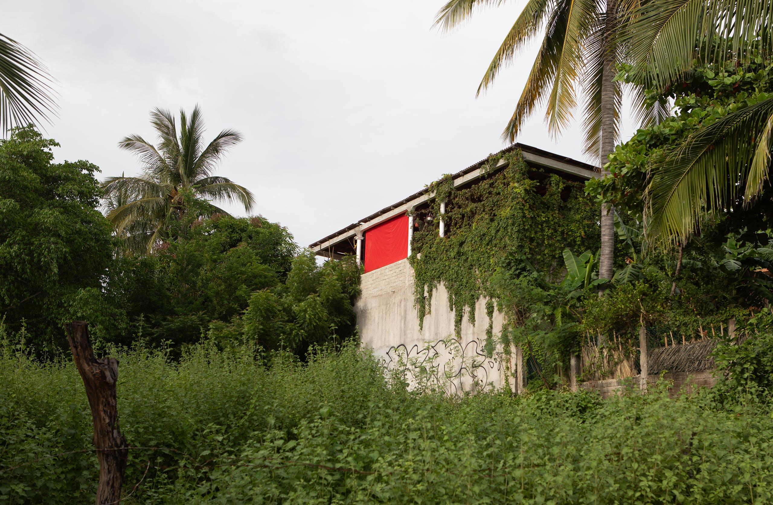 puerto-escondido-ivy-