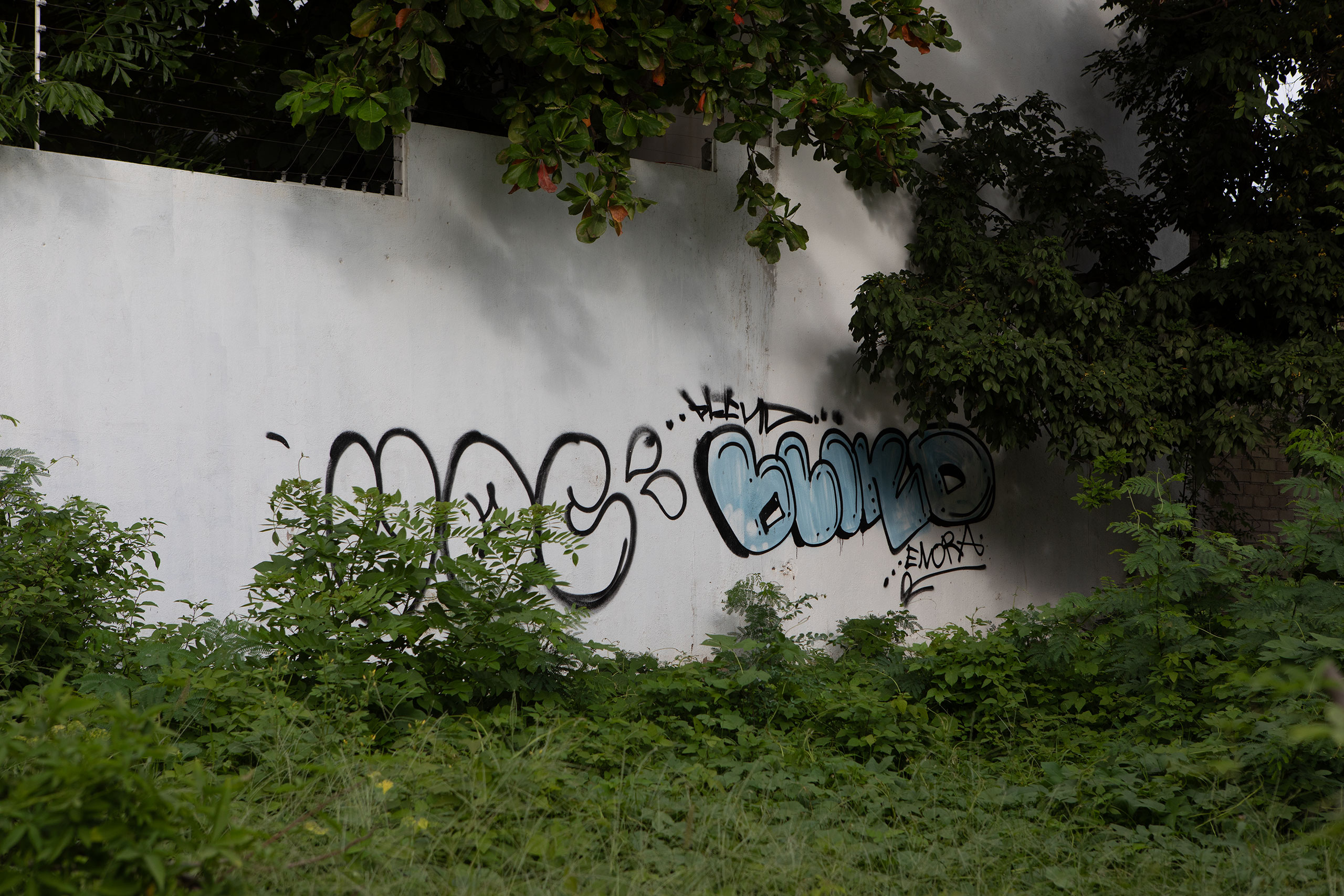 puerto-escondido-street-art-oaxaca