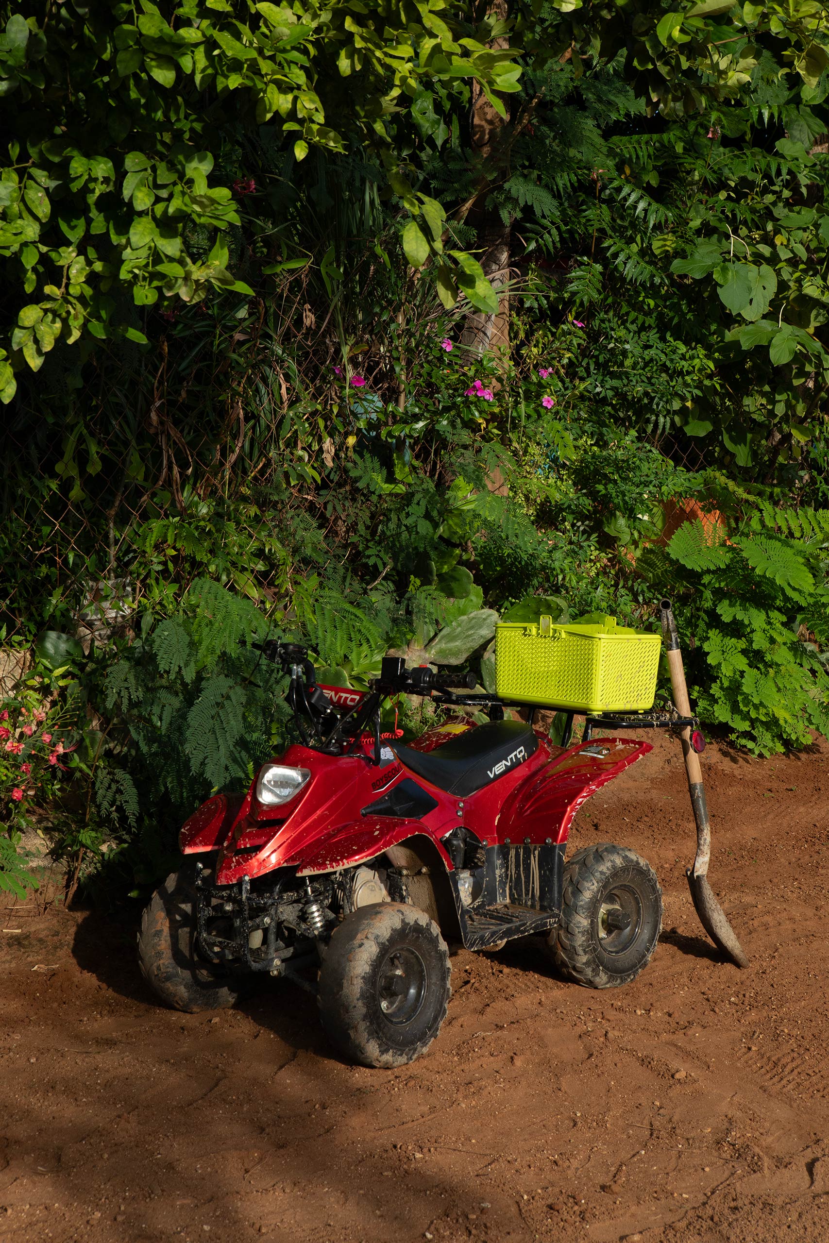 quad-bike-mexico-
