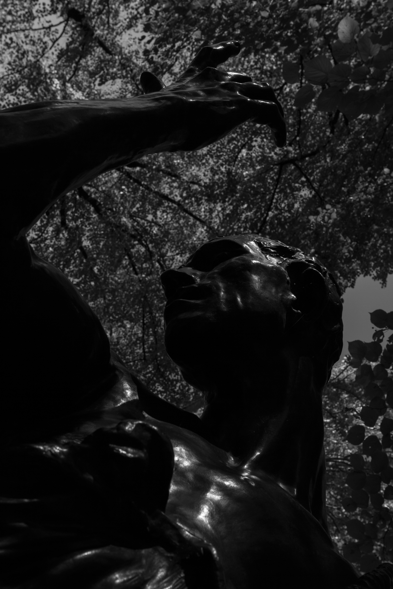 rodin-musee-garden-1