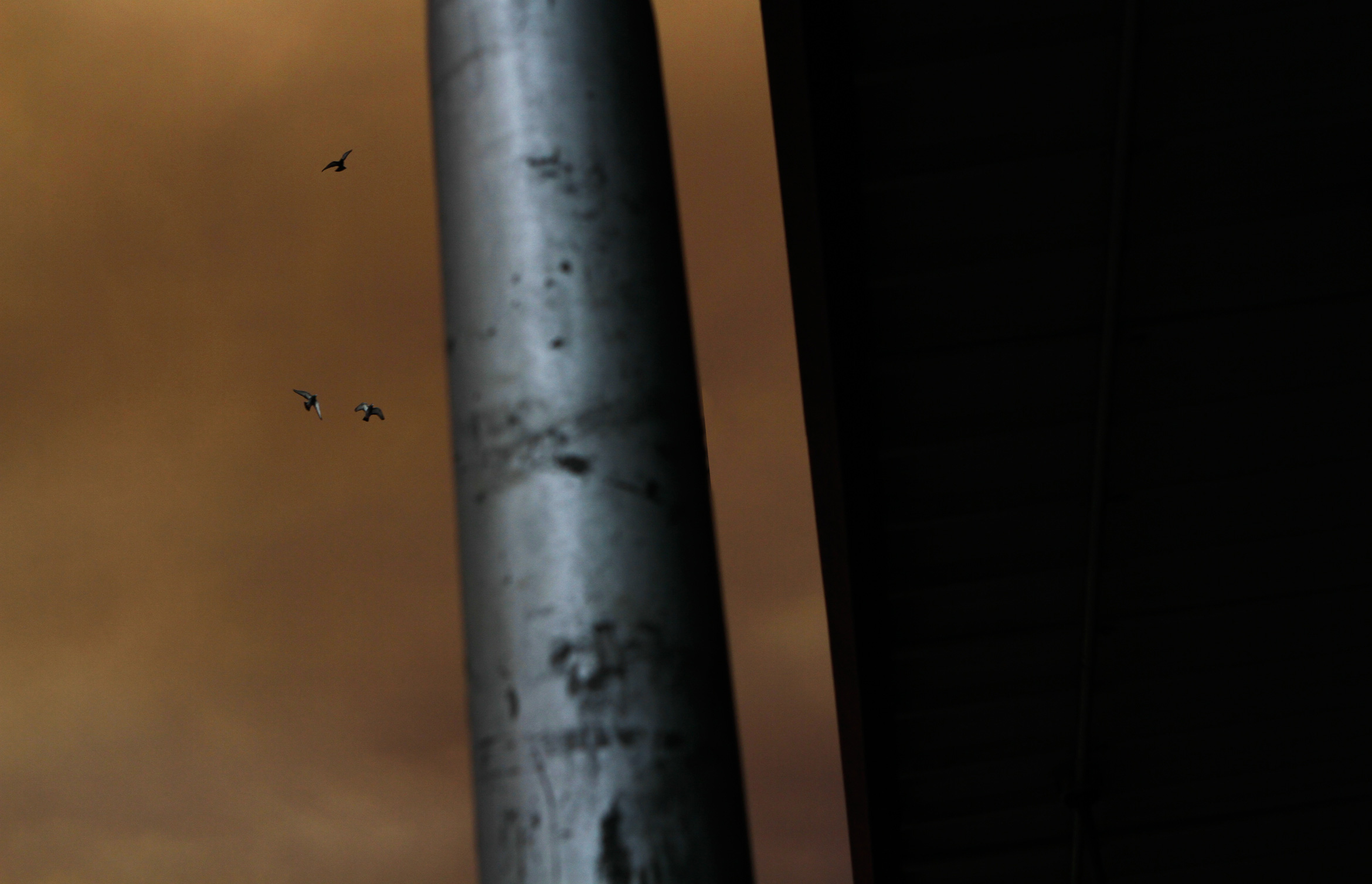 sydney-bush-fires-dark-clouds-inner-west