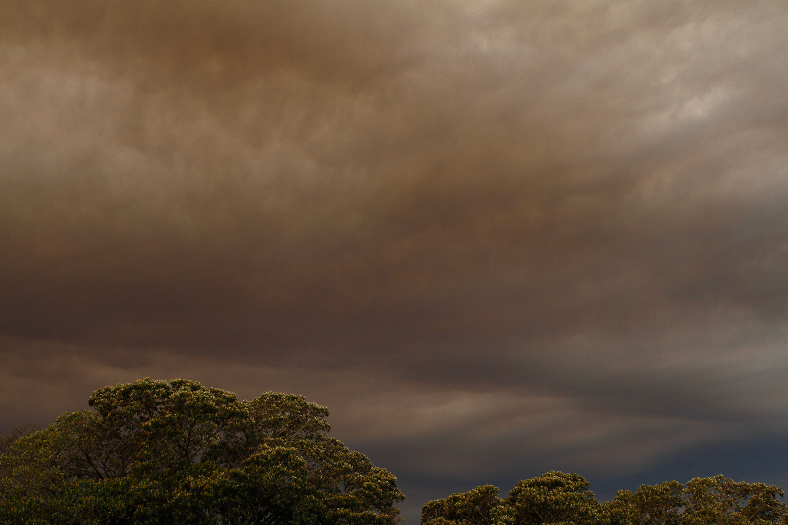 sydney-bushfire-sky-photos