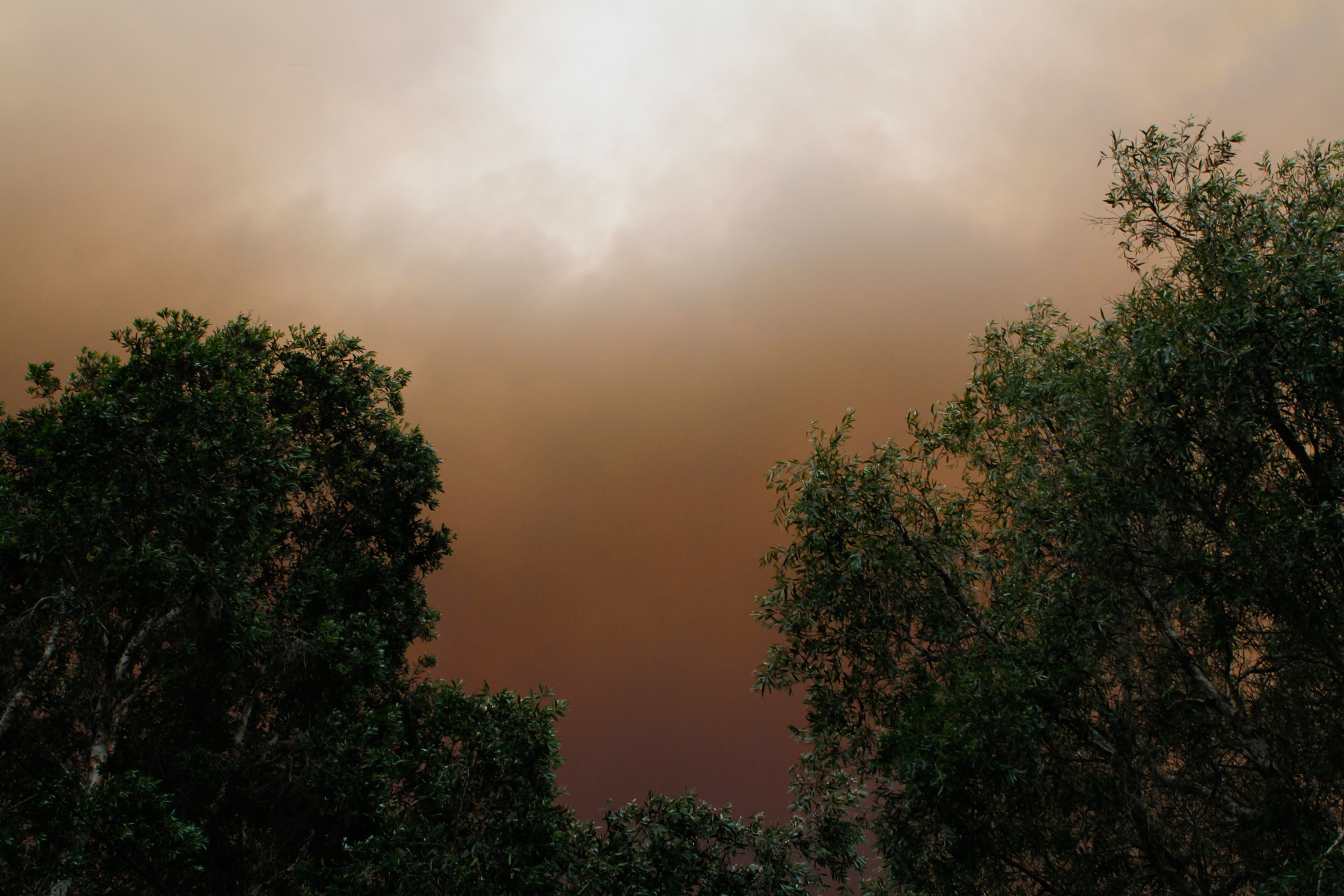sydney-bushfire-sky