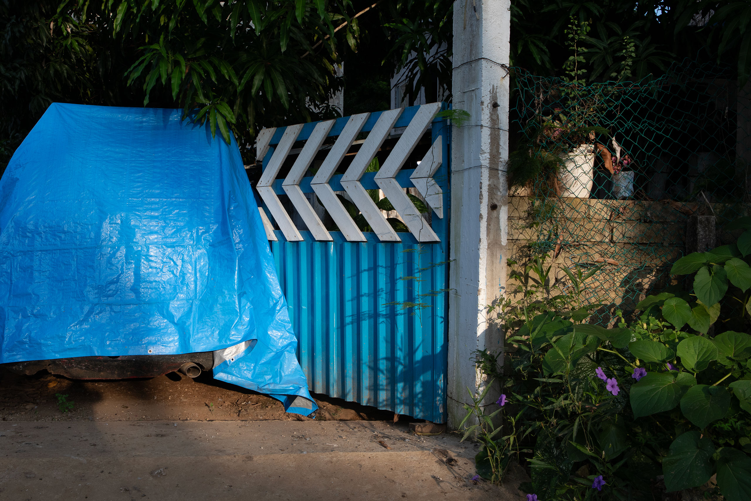 tarpaulin-mexico-light-oaxaca