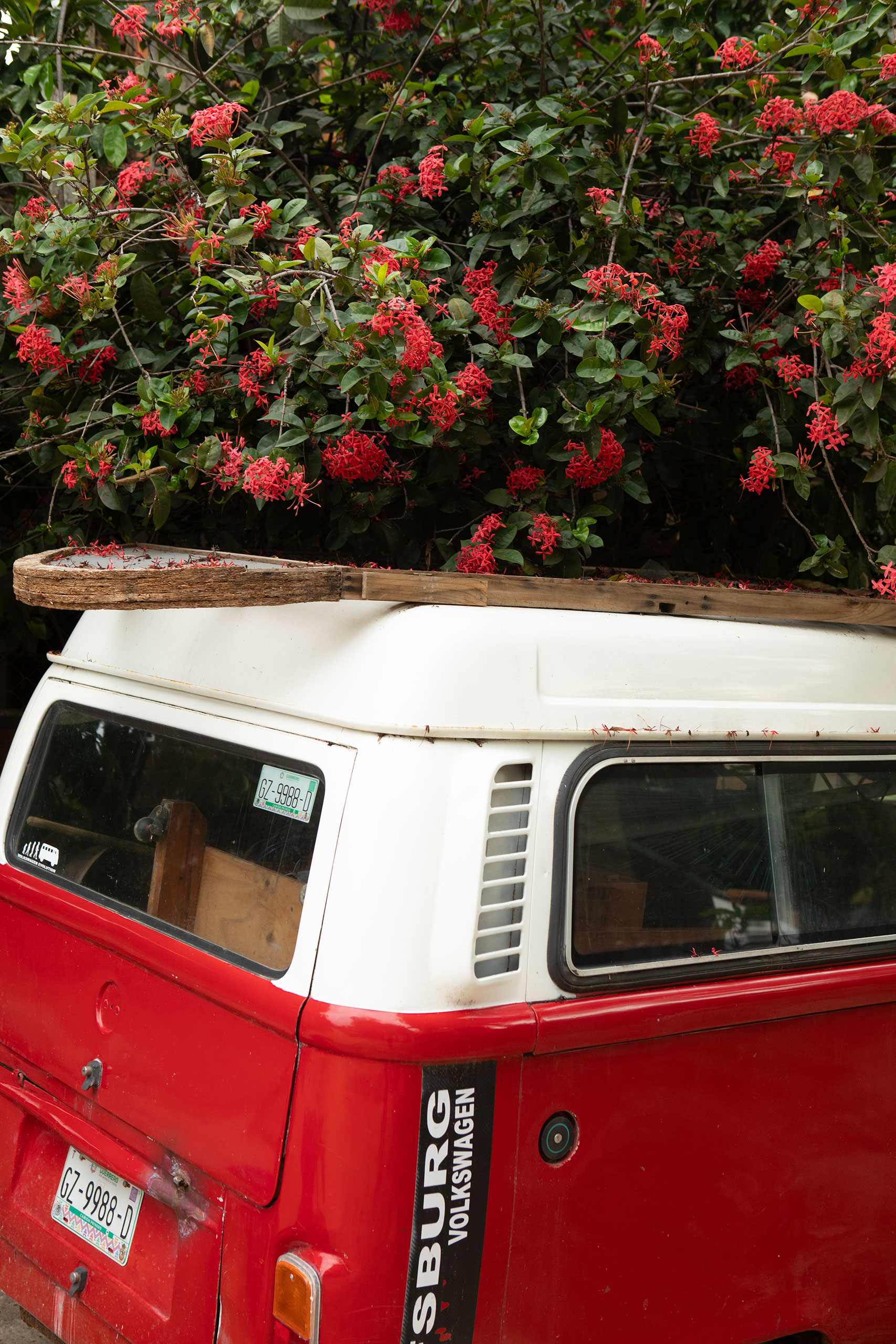 vw-camper-mexico-puerto