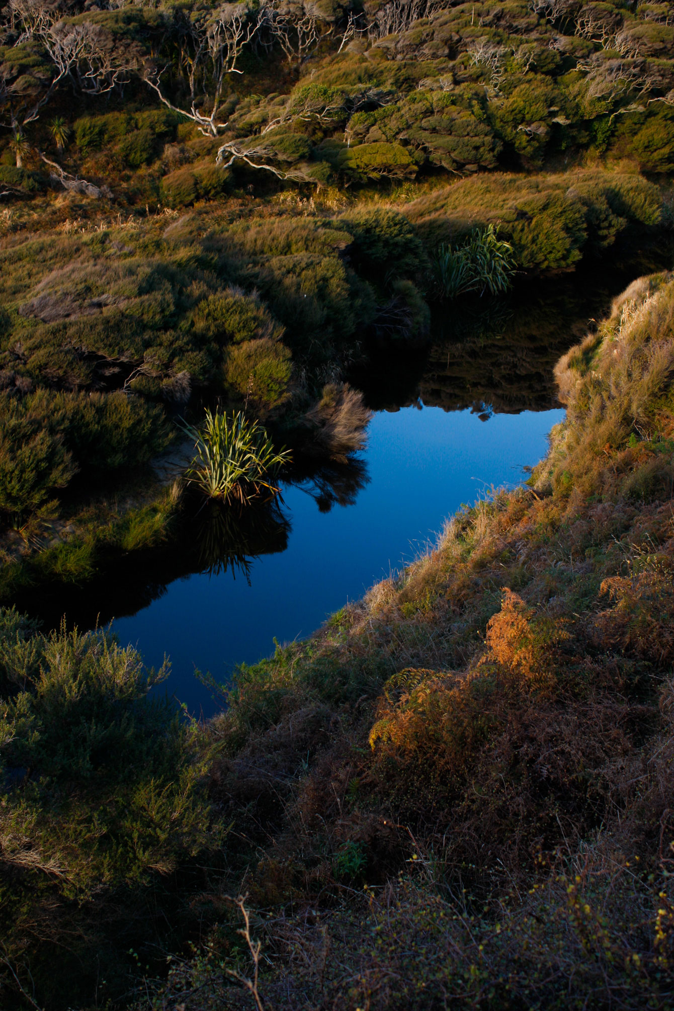 wharariki-nz