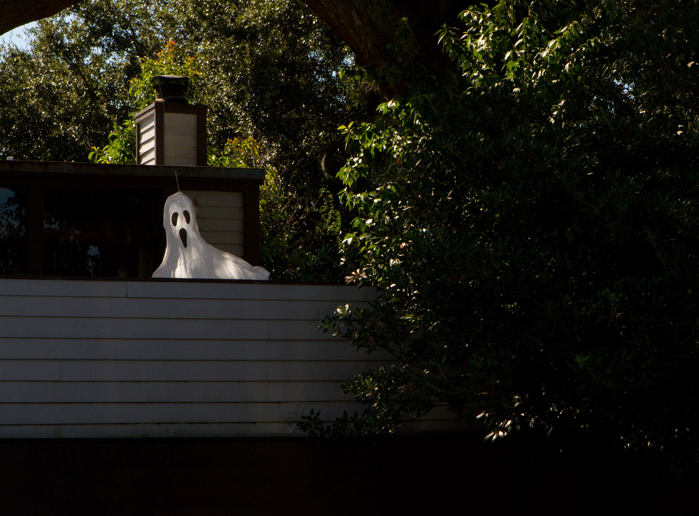 halloween-new-orleans