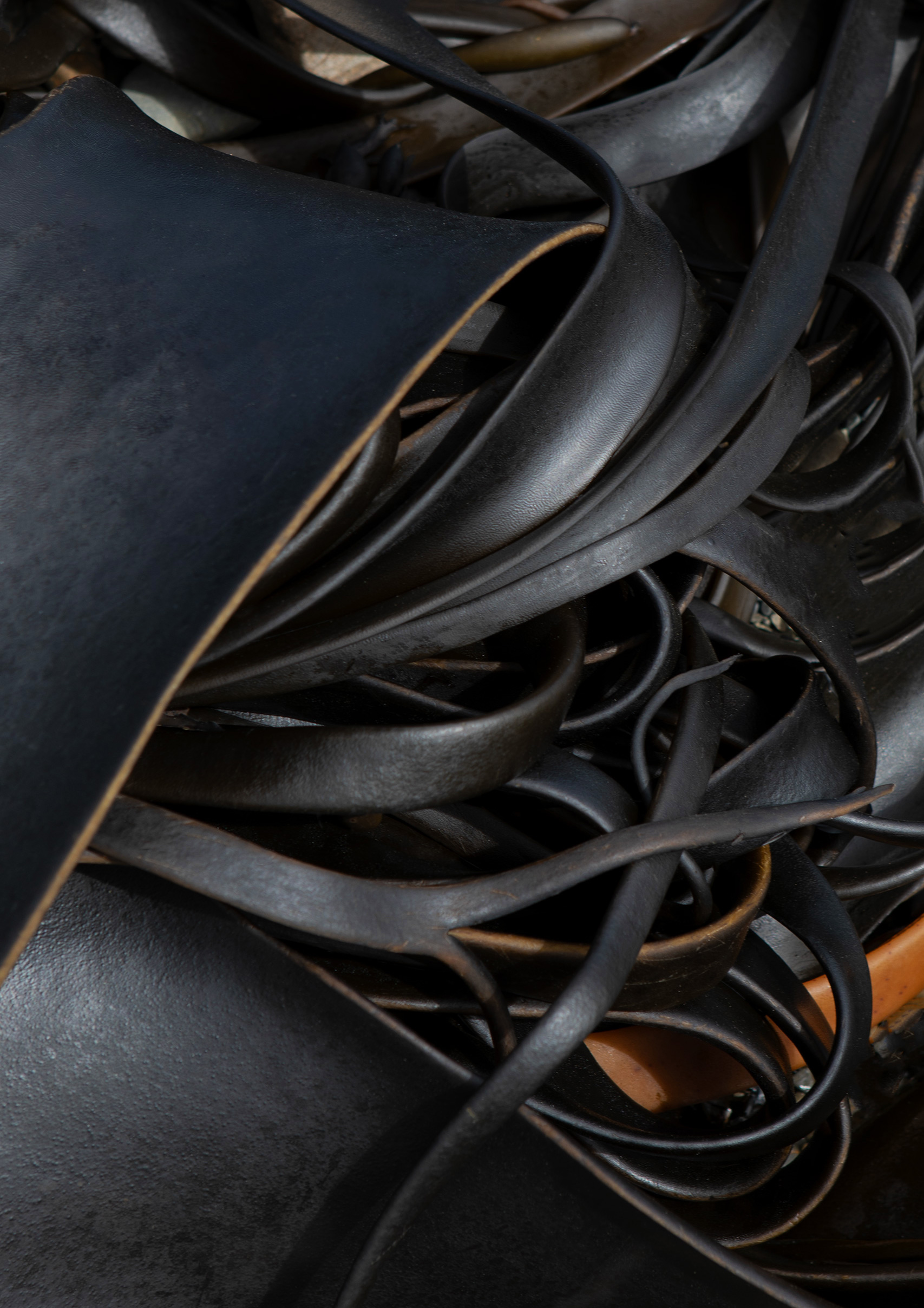 kelp-nz-artist-photographer-james-watkins