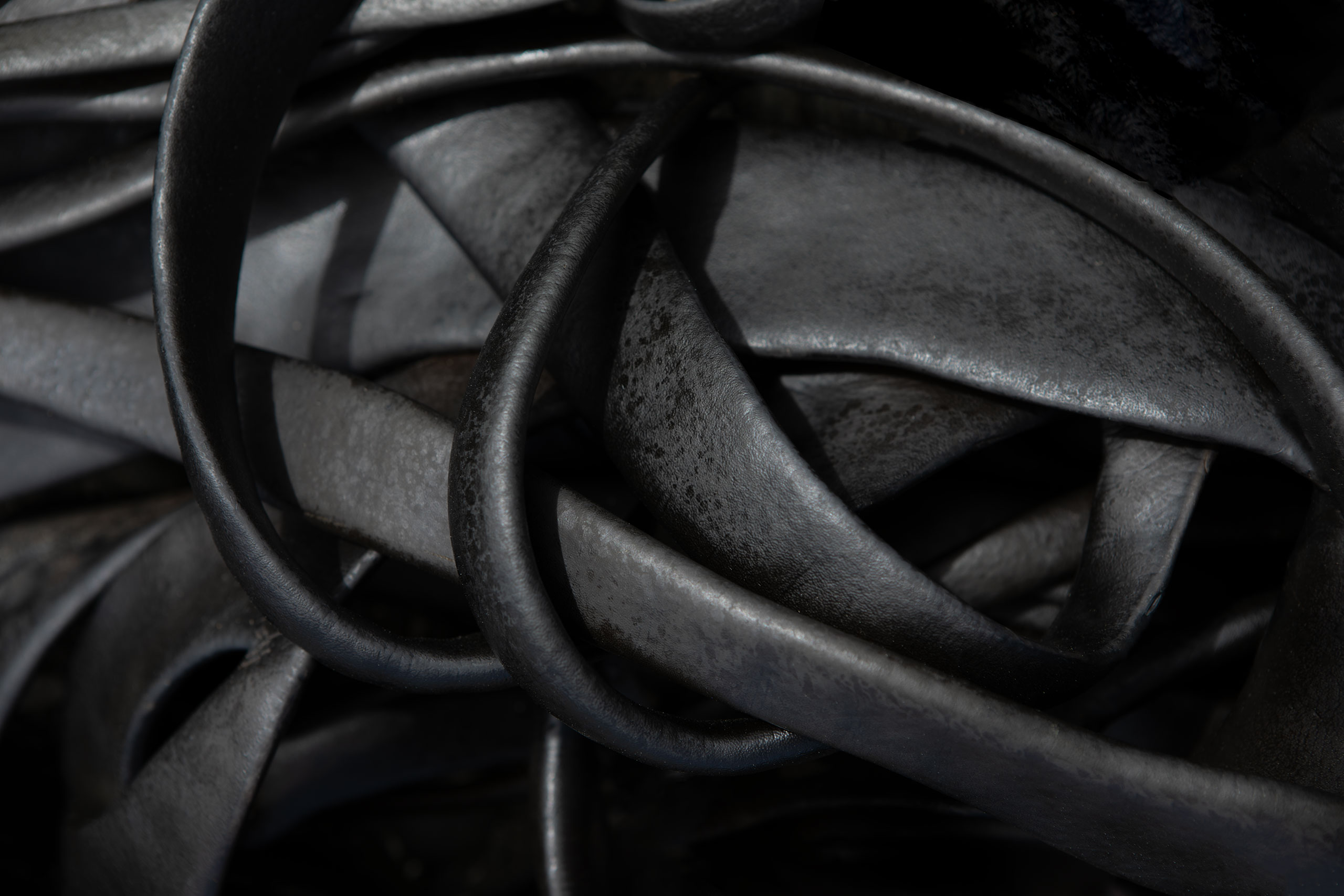 new-zealand-kelp-photos