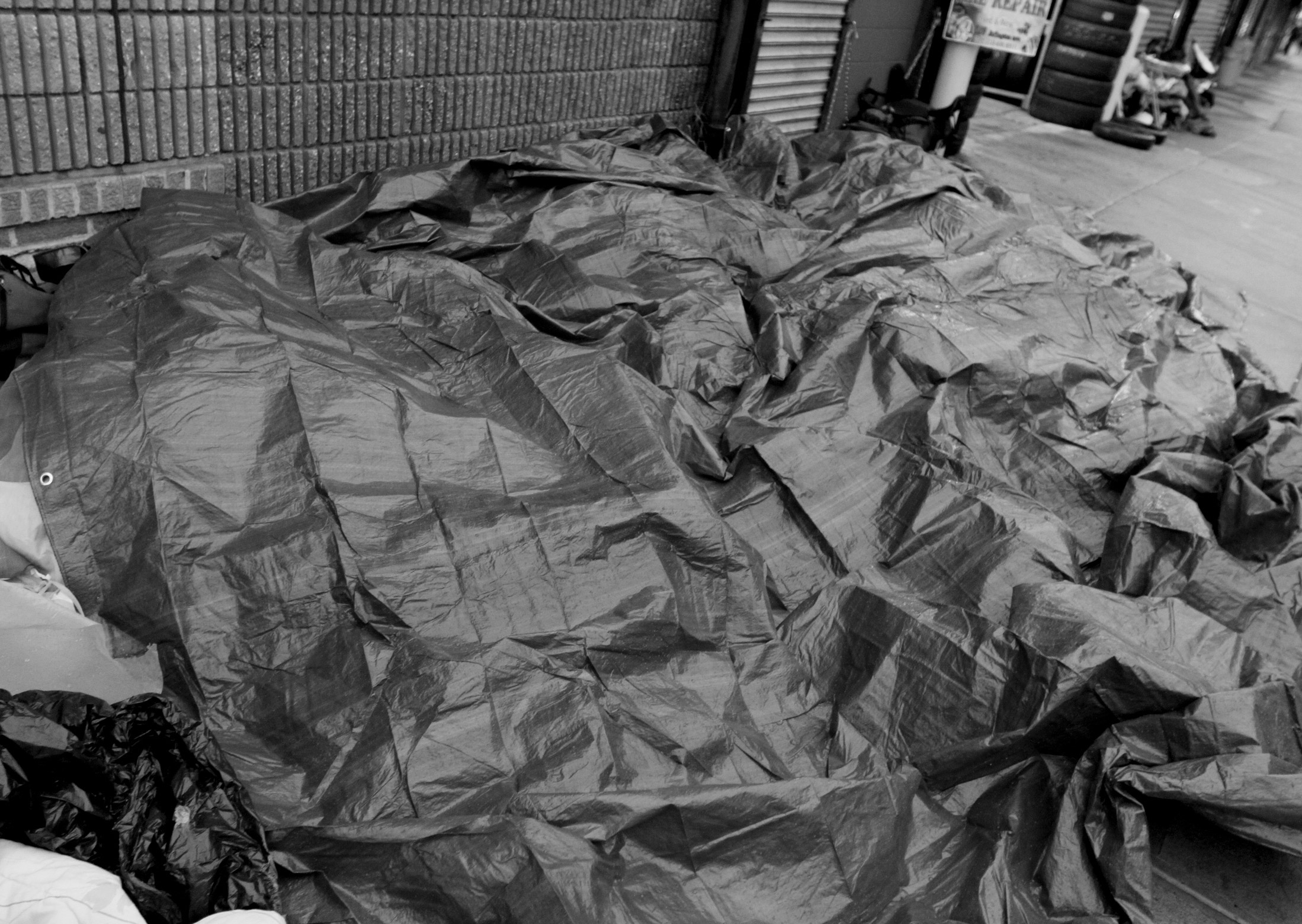 picture-the-homeless-brooklyn1
