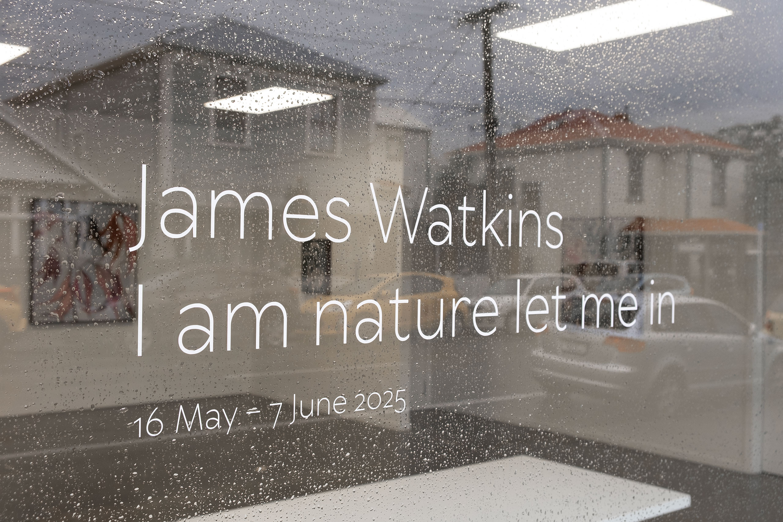 twenty-six-gallery-newtown-wellington-constble-street-